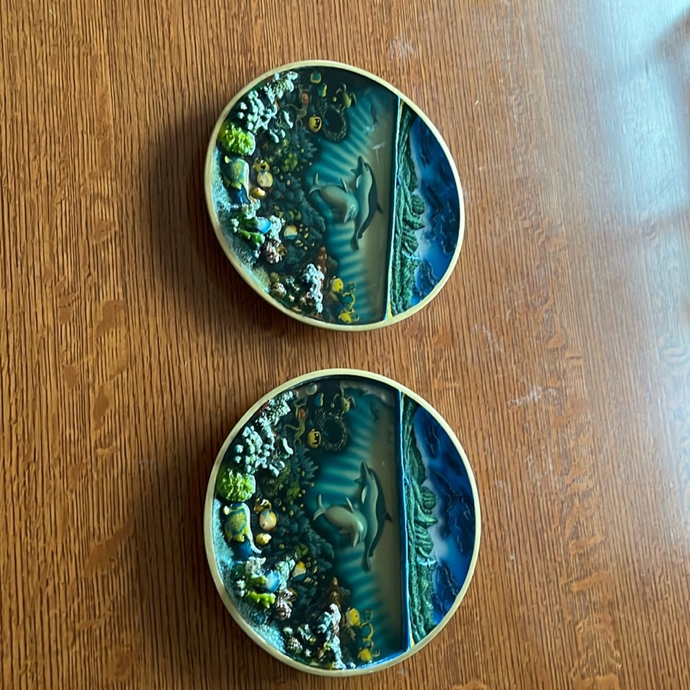 A discovery of Anahola By Robert Lyn Nelson hand painted 3 dimensional plate
